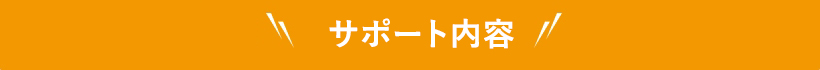 サポート内容